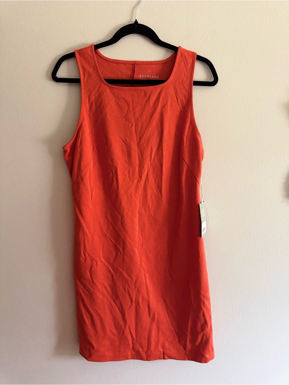 Everlane Orange cotton shift Dress size medium NWT